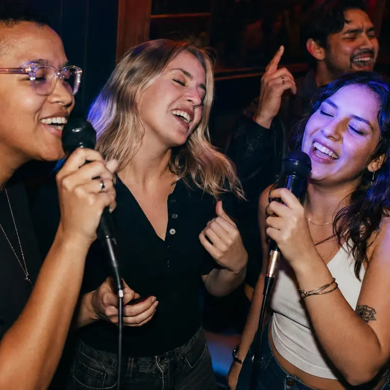 mic check karaoke event